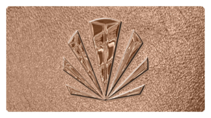 DSC700 602 BZ SH BZ Bronze Sunburst Shimmer Bronze Background